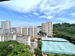 Blk 6 Telok Blangah Crescent (Bukit Merah), HDB 3 Rooms #589834941